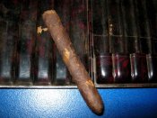 IMG_2874.jpg