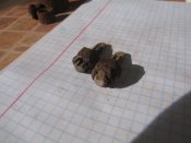 IMG_6627.JPG