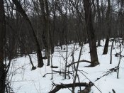 DSCF6462.JPG