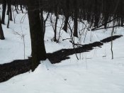 DSCF6468.JPG