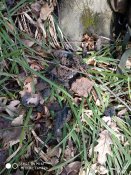 IMG_20180313_143652.jpg