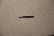 DSC_0147.JPG