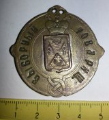 нагрудный знак РИ выборный товарищ