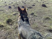 11042012817.jpg