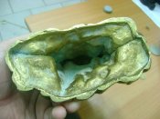 DSC05798.JPG