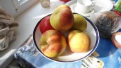 DSC02056.jpg
