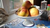 DSC02057.jpg