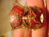 DSC06377.jpg