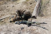 Z-Partizan-M_Autumn_Chamelion-Reload_Berm02.jpg