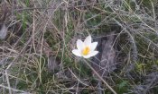 20180317_131036.jpg