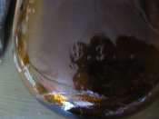 IMG_8440.JPG