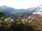 DSCN0546.JPG