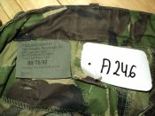 DSC04854.JPG