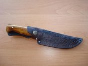 DSC09243.jpg