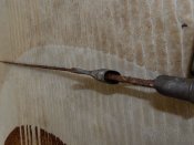 RSCN4138.JPG