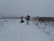 IMG_2624.jpg