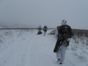 IMG_2625.jpg