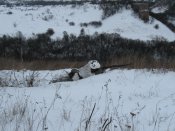 IMG_2634.jpg