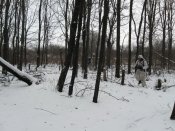 Изображение 082_resize_resize.jpg
