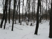 Изображение 084_resize_resize.jpg