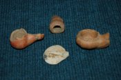DSC_4912.JPG