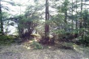 S3020068.jpg