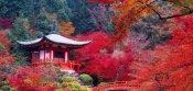 Daigo-ji Temple in Autumn.jpg
