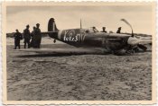 Holland 1940 Oostvoorne.jpg