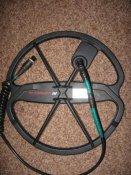 IMG_0917.jpg