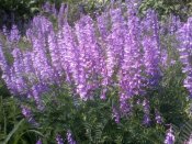 2013-05-19 11.38.04.jpg