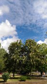 P_20170508_155433.jpg
