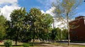 P_20170508_155451.jpg