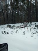 IMG_20180320_140953.jpg