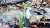 IMG_20180317_081415.jpg