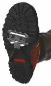 shoe (1).png