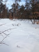 IMG_0931.JPG