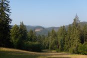 S6300921.JPG