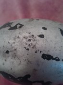 20180325_182818.jpg
