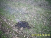 PIC_0016.jpg