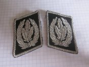 Петлицы