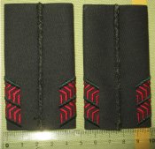 DSCF3495.JPG