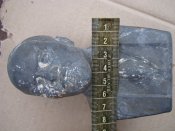 DSC06201.JPG