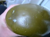 DSC07646.jpg