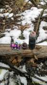 P_20180328_143148_LL_p[1].jpg