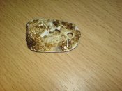 DSC00021.jpg