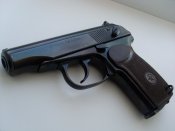SL379152.JPG
