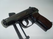 SL379160.JPG