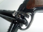 SL379170.JPG