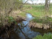 DSC00104.jpg