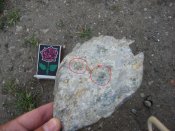 IMG_1870_thumb.jpg